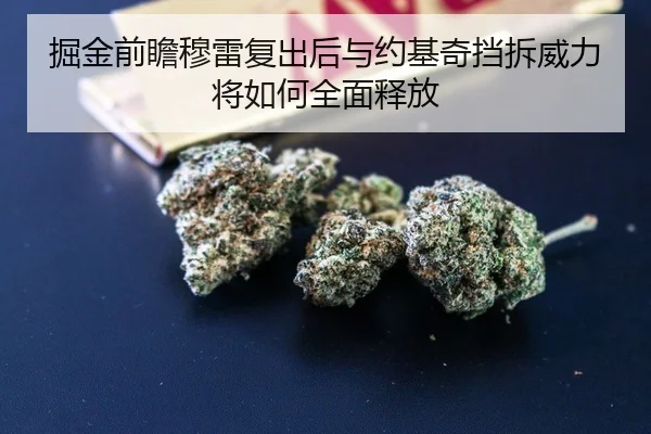 掘金前瞻穆雷复出后与约基奇挡拆威力将如何全面释放
